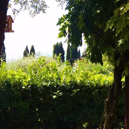 Ulivi Garda (Verona)